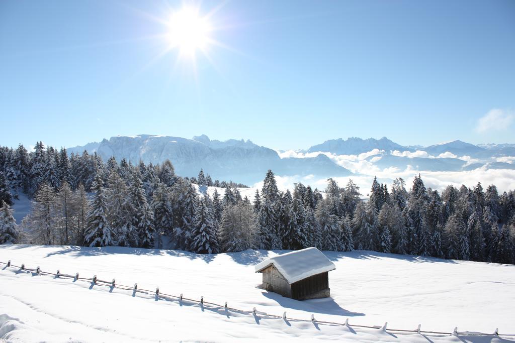 Lichtenstern Oberbozen
